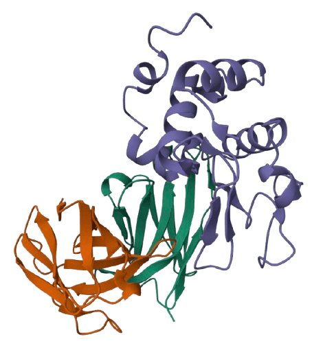 task-image